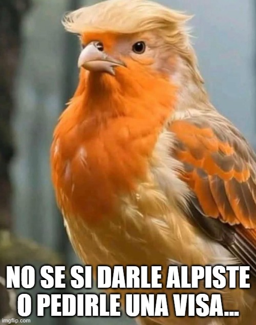 Meme 2
